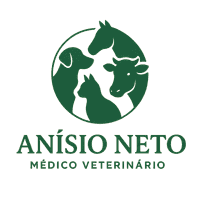 Logo Dr. Anísio Alves