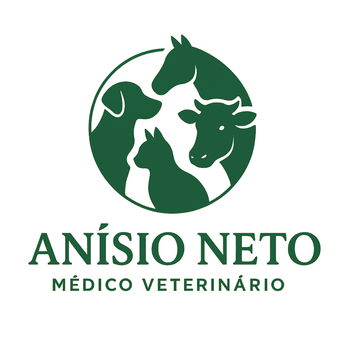 Logo Dr. Anísio Alves